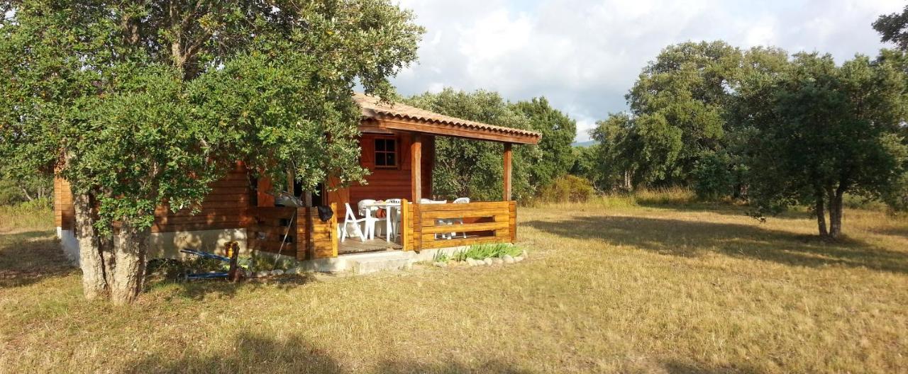 Chalet Climatise Porticcio Corse Fontanaccio Extérieur photo